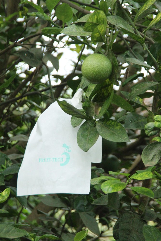 Fruit Tech orange fruit cover